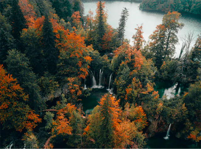 Environment